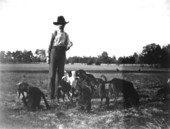 Man with a pack of dogs