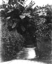 Garden path and well?