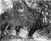 Ruins of Three Chimneys Sugar WorksOrmond Beach,Florida.