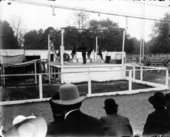 Circus animal trainer and sea lions performing their act