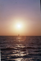 Sailboat off of Key West..