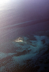 Aerial view of the Sand Key Lighthouse.