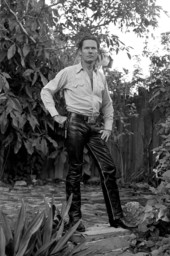 Portrait of writer Kirby Congdon - Key West, Florida.