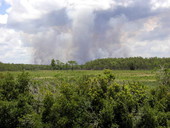 View showing smoke from a Volusia County fire.
