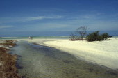 Caladesi Island State Park beach - Dunedin, Florida