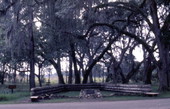 Replica of the triangular breastwork of logs at the Dade Battlefield Historic State Park - Bushnell, Florida
