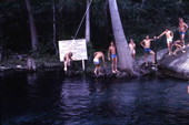 Ichetucknee Springs State Park visitors jumping from rope into the spring - Fort White, Florida.
