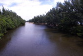 View of the New River Sound channel at the John U. Lloyd Beach State Park - Fort Lauderdale, Florida..