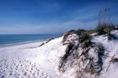 View showing dunes at St. Andrews State Park beach - Panama City, Florida..