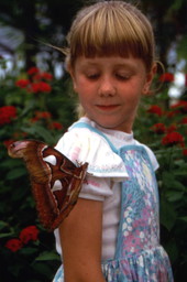 Unidentified girl at the Butterfly World attraction in Coconut Creek, Florida.