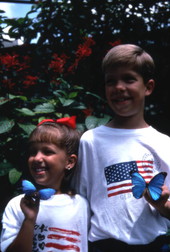 Children with Blue Morpho butterflies at the Butterfly World attraction in Coconut Creek, Florida.