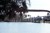 View looking toward monorail at the Busch Gardens amusement park - Tampa, Florida.