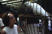 Visitor with a cockatoo at the Busch Gardens amusement park - Tampa, Florida.
