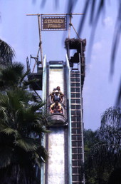 Log flume ride at the Busch Gardens amusement park - Tampa, Florida.