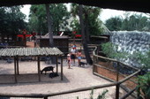 View overlooking petting zoo at the Busch Gardens amusement park in Tampa, Florida.