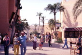 Scene showing visitors at the Busch Gardens amusement park in Tampa, Florida.