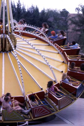 View showing visitors on an amusement ride at Busch Gardens - Tampa, Florida.