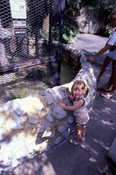 Child looking at animals at the Busch Gardens amusement park in Tampa, Florida.