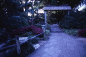View of garden path at the Cypress Gardens theme park in Winter Haven, Florida.