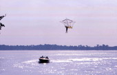 View showing an employee parakiting at the Cypress Gardens theme park in Winter Haven, Florida.