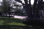 View looking toward visitors at the Cypress Gardens theme park in Winter Haven, Florida.