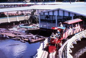 View showing tour train at the Gatorland theme park in Orlando, Florida.