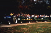 View showing visitors on a passenger vehicle at the Green Meadows Farm in Kissimmee, Florida.