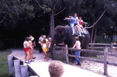 Visitors getting rides on an African elephant at the Lion Country Safari amusement park in West Palm Beach, Florida.