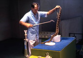 Bill Haast performing a snake show with a Diamondback rattlesnake at the Miami Serpentarium attraction.
