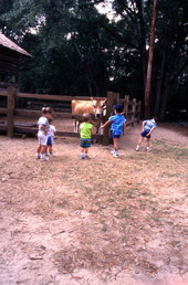 Young visitors looking at a cow at the Tallahassee Jr. Museum.