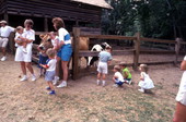 Visitors looking at cows at the Tallahassee Jr. Museum.