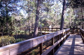 View of boardwalk at the Turkey Creek Sanctuary in Palm Bay, Florida.