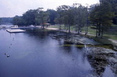 View showing swimming area at Wakulla Springs.