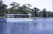 Glass-bottom tour boat at Wakulla Springs.