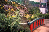 View in the conservatory at "A World of Orchids" garden in Orlando, Florida.