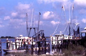 View of shrimp boats at the Jaws II movie location in Destin, Florida.
