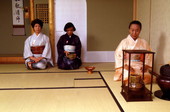 Japanese tea ceremony at the Morikami Museum in Delray Beach, Florida.