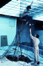 View of staff members working on exhibit at the Florida State Museum in Gainesville, Florida.