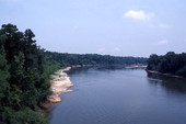 Scenic view of the Apalachicola River.