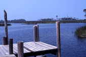 View showing dock and surrounding marshland at the fishing village of Aripeka, Florida.