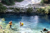 Scuba divers at Blue Springs.