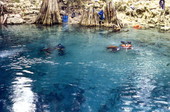 View showing scuba divers at Blue Springs.