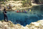 Scuba divers at Blue Springs.
