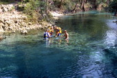 View showing scuba divers at Blue Springs.