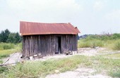 Shed at the home of Lilie Thomas in Brooksville, Florida.