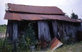 Rear view of the shed at the home of Lilie Thomas in Brooksville, Florida.
