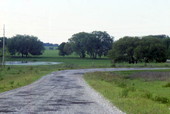 View showing a road in Brooksville, Florida.