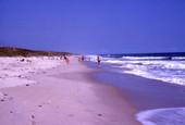 People at the seashore by the surf at the Canaveral National Seashore beach in Brevard County near Titusville, Florida.