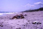 People tanning at the Canaveral National Seashore beach in Brevard County near Titusville, Florida.