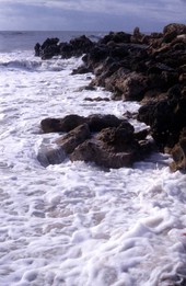 Surf along the jetty at Captiva Island, Florida.